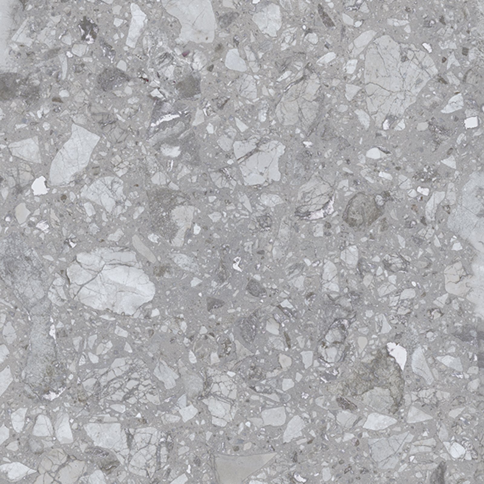 Platinum SELENA GREY